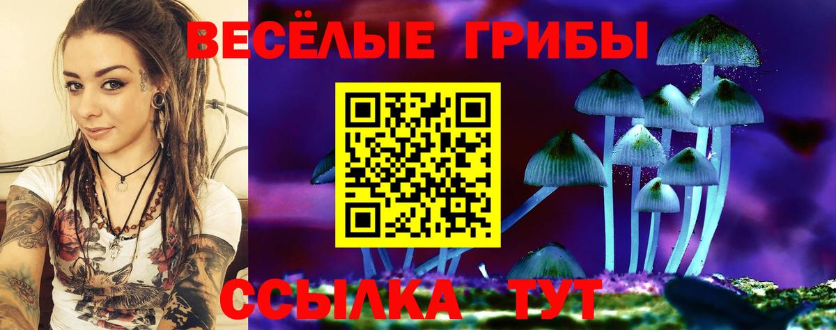 Галлюциногенные грибы GOLDEN TEACHER Новоалександровск