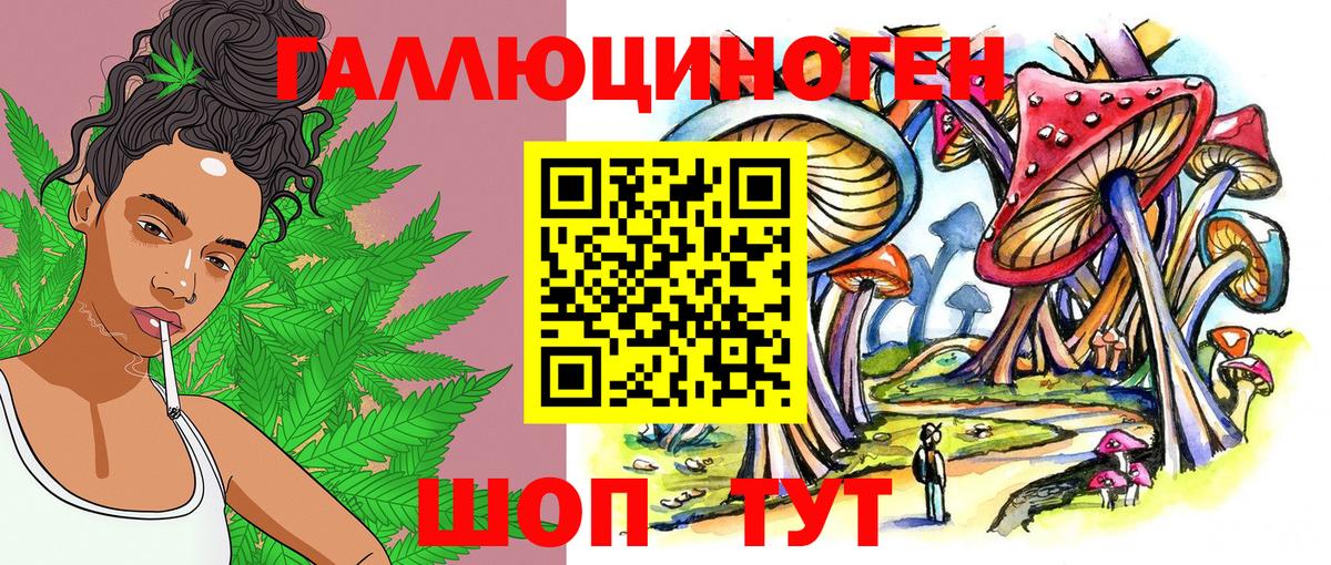 Галлюциногенные грибы Psilocybine cubensis  Вход с VPN  Галлюциногенные грибы Psilocybine cubensis  Новоалександровск 